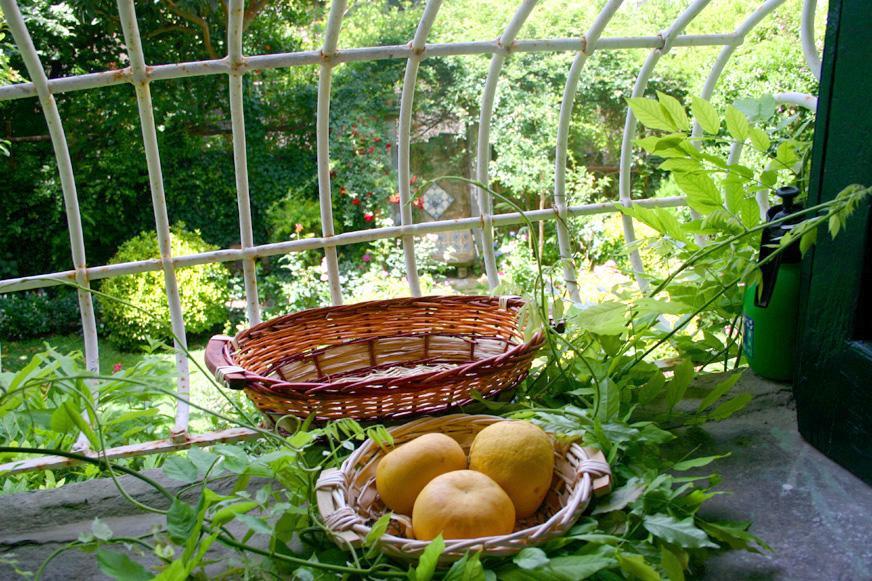 L'Antica Dimora Villa Мета Екстериор снимка