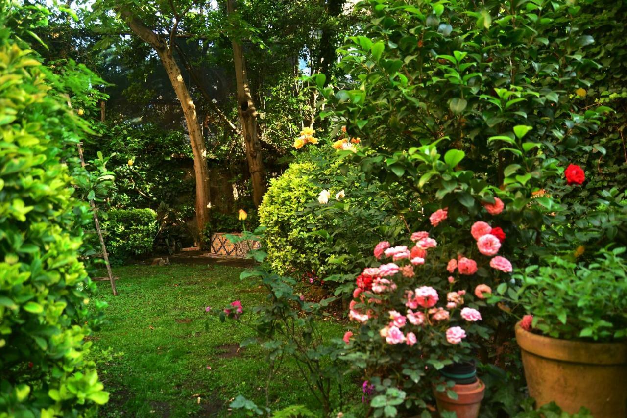 L'Antica Dimora Villa Мета Екстериор снимка