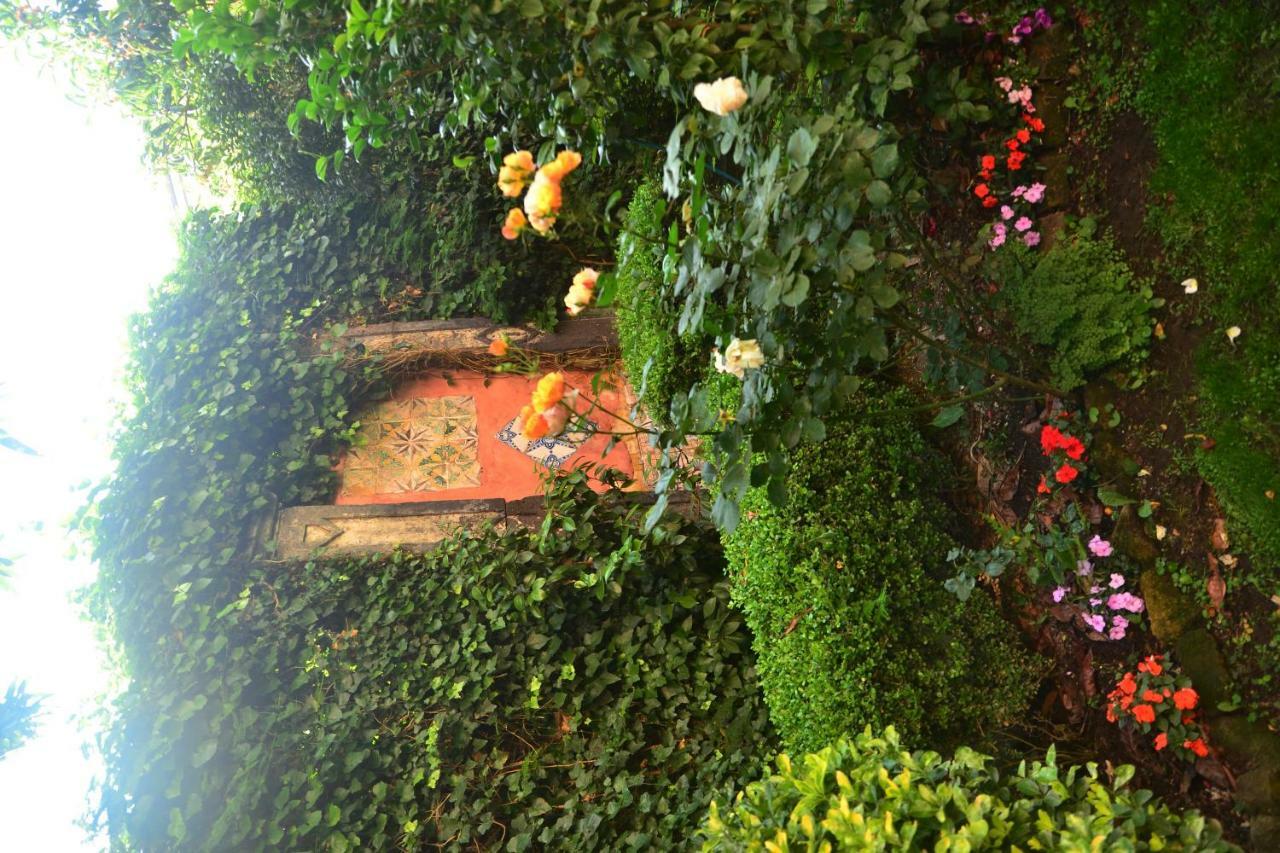 L'Antica Dimora Villa Мета Екстериор снимка